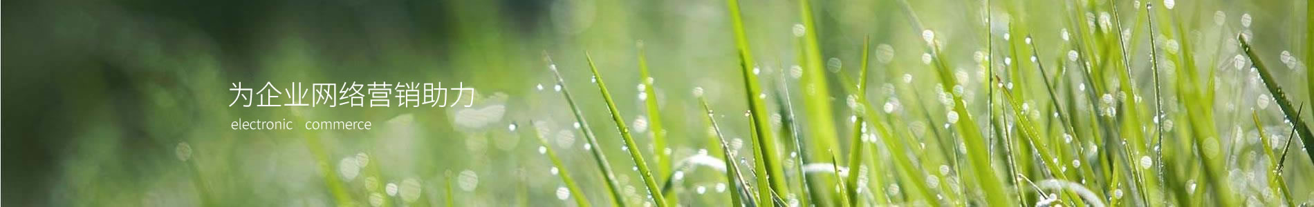 кƿƼ޹˾